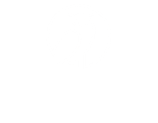 Wiser Logo SQ for trademark_white_reg2