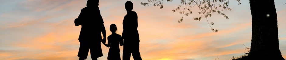 child tax credit check child tax credit