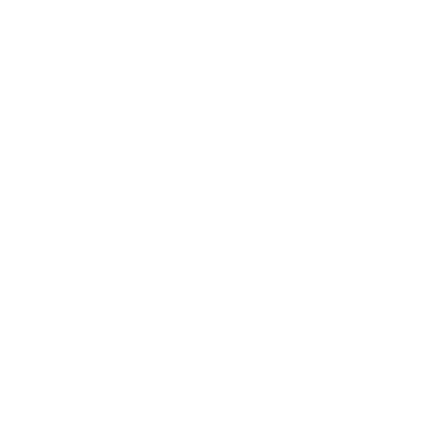 asset