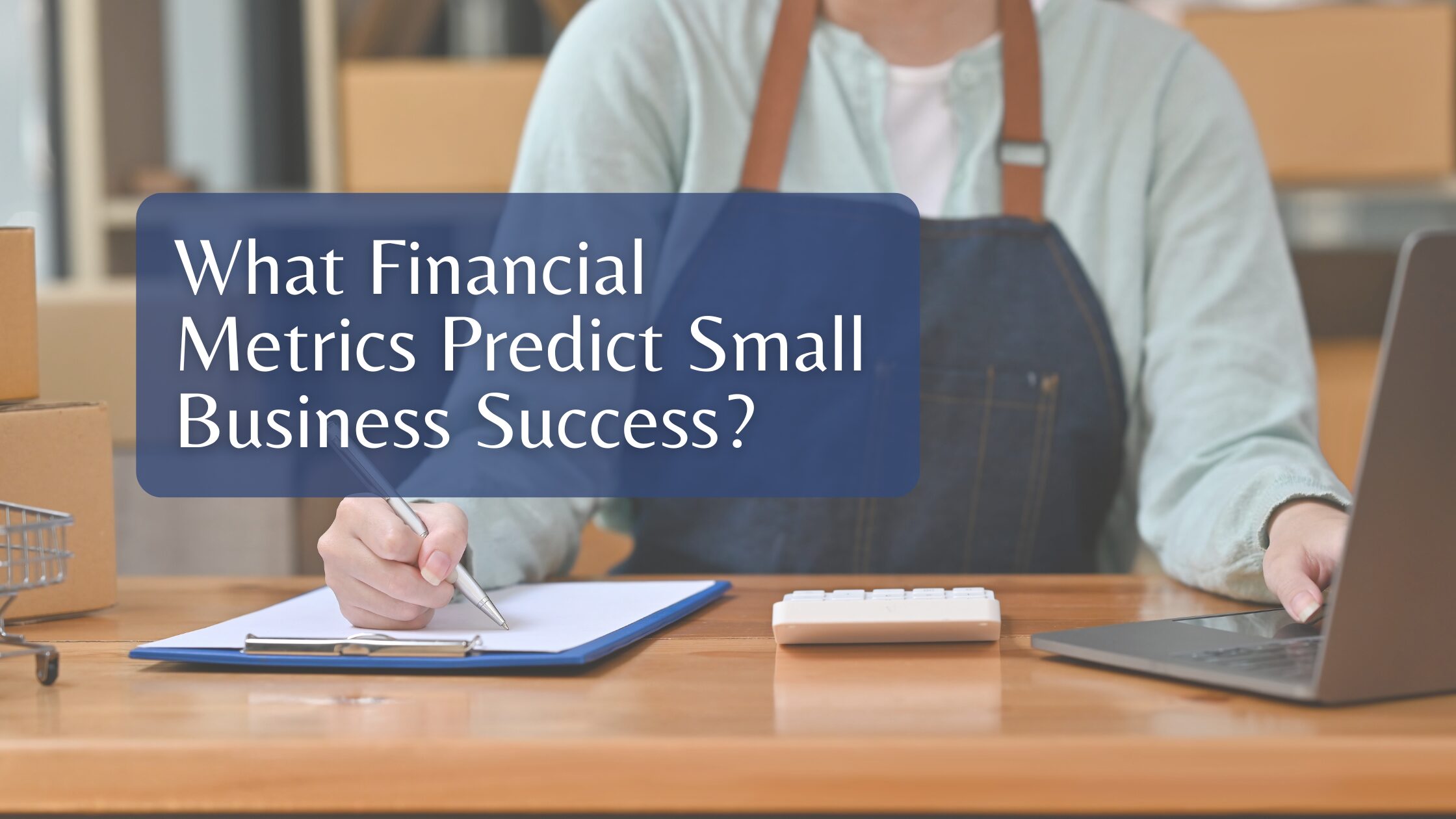 What Financial Metrics Predict Small Business Success?