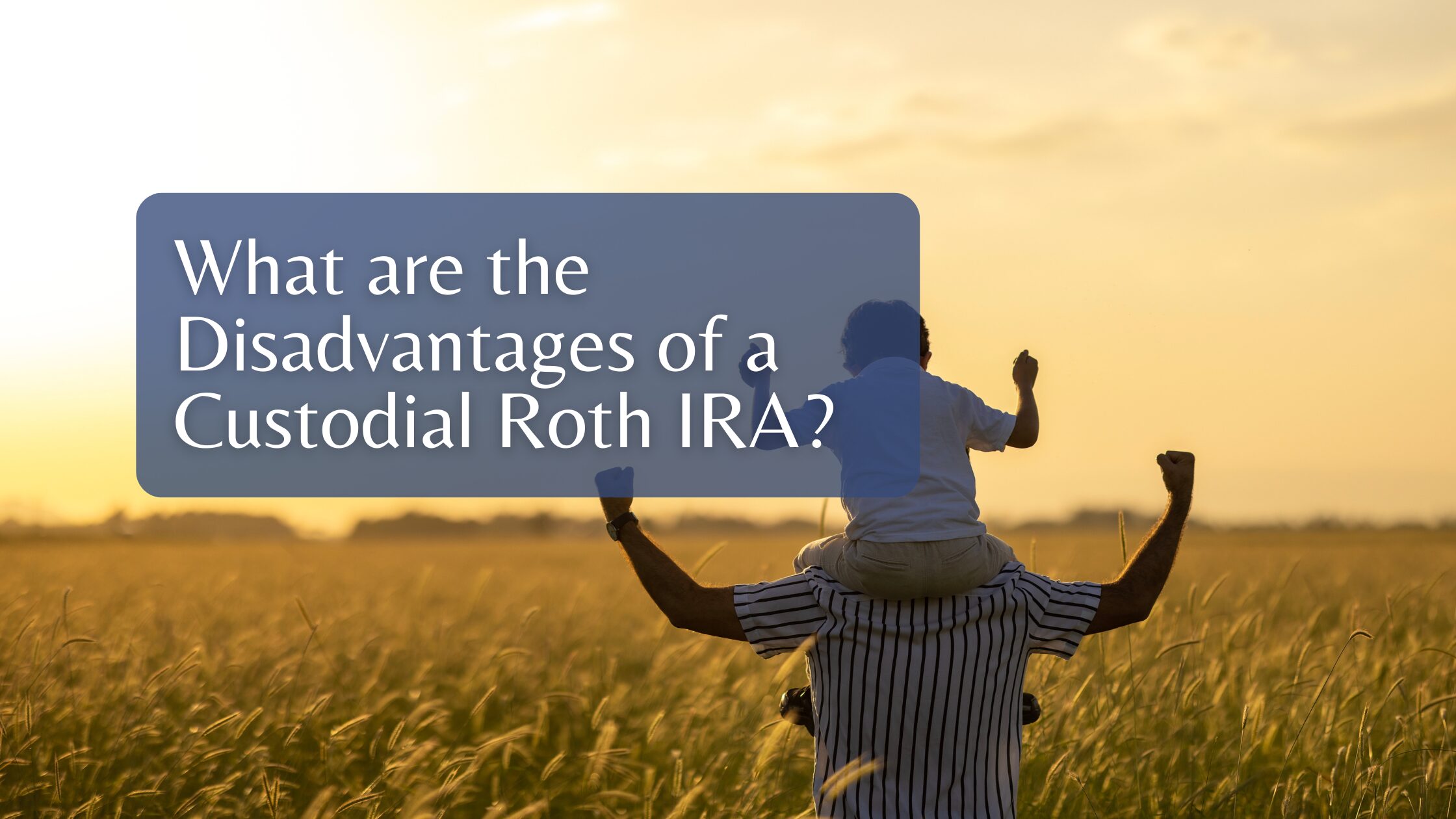 What are the Disadvantages of a Custodial Roth IRA? What are the Disadvantages of a Custodial Roth IRA?