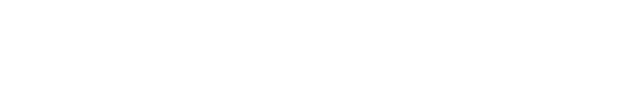 Wiser Wealth Management
